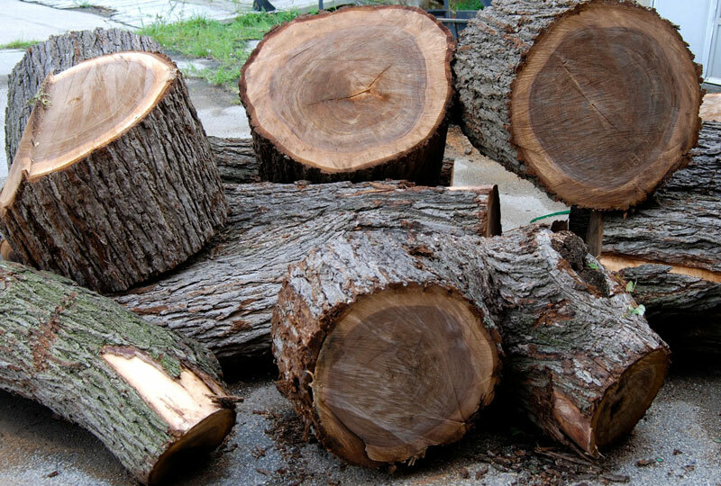 Sự khan hiếm nguồn cung cùng thời gian sinh trưởng của cây gỗ dài khiến gỗ óc chó trở thành loại gỗ quý và đắt.