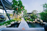 Vinh Fusion